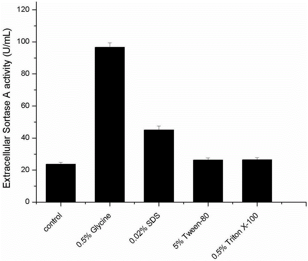 Method for efficient expression and secretion of transpeptidase Sortase A