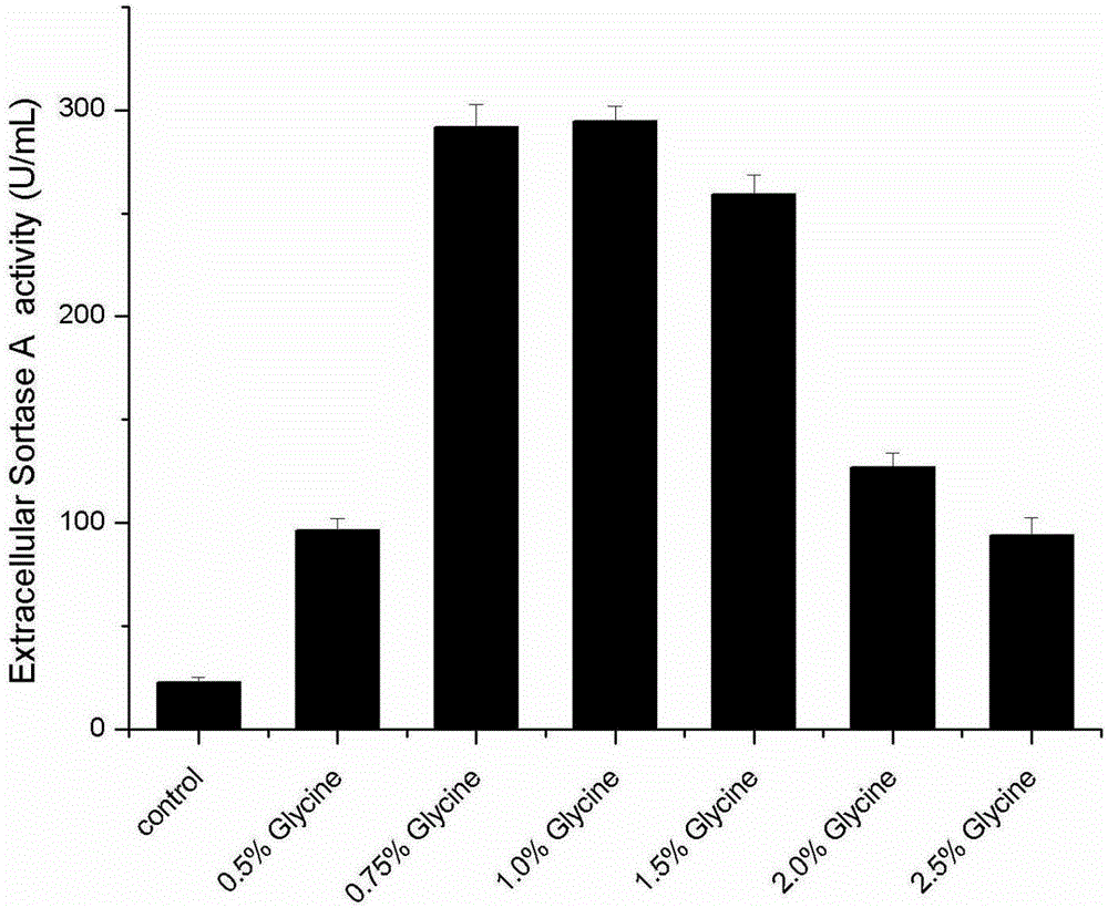 Method for efficient expression and secretion of transpeptidase Sortase A