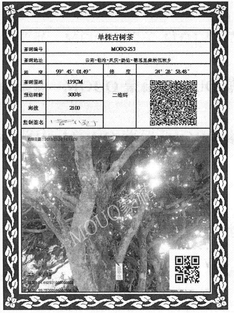 Method for making tea and coffee with single-plant ancient trees