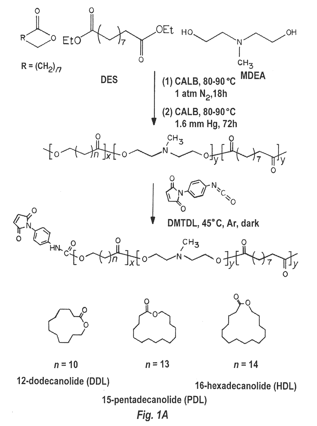 Compositions for enhancing delivery of agents across the blood brain barrier and methods of use thereof