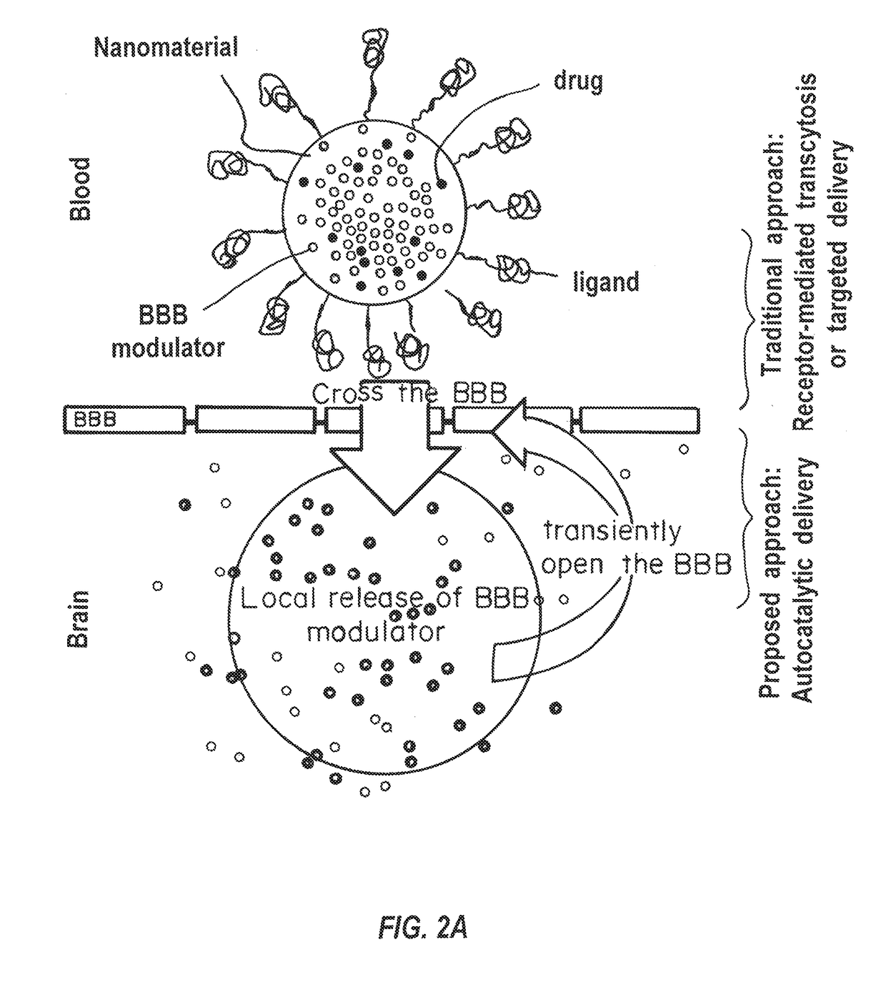 Compositions for enhancing delivery of agents across the blood brain barrier and methods of use thereof