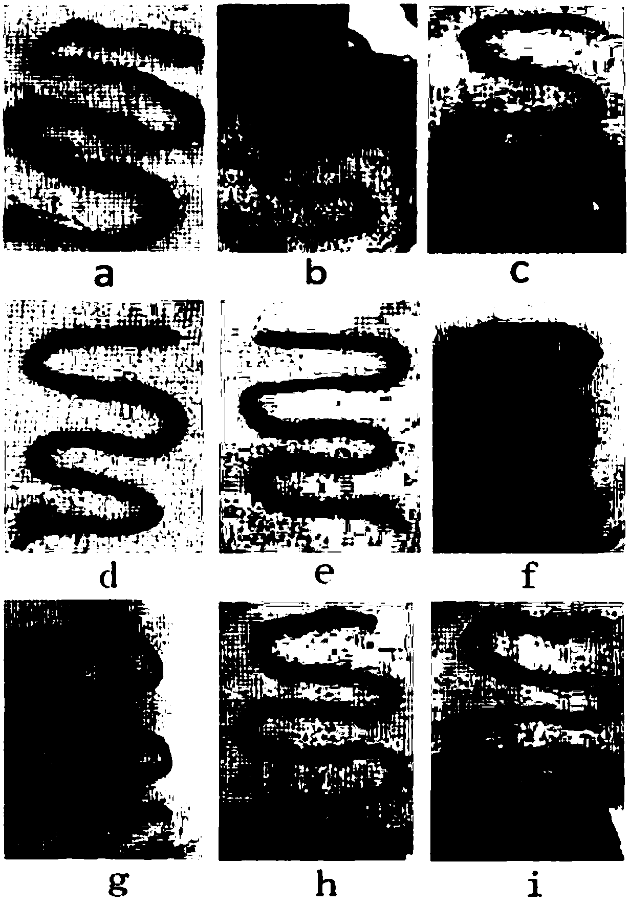 Application of butyrate compound in preparation of medicines for preventing and curing NEC