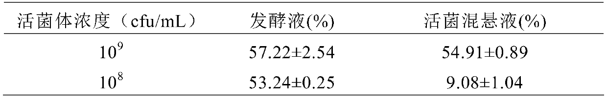 A strain of Rhodobacter sphaeroides with antioxidant activity and preparation method and application thereof