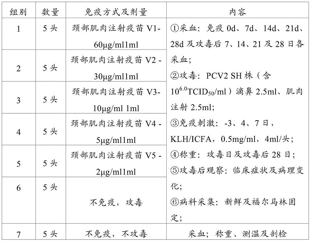 Vaccine composition and preparation method thereof