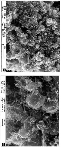 Cobalt-nickel bimetallic catalyst and preparation method thereof