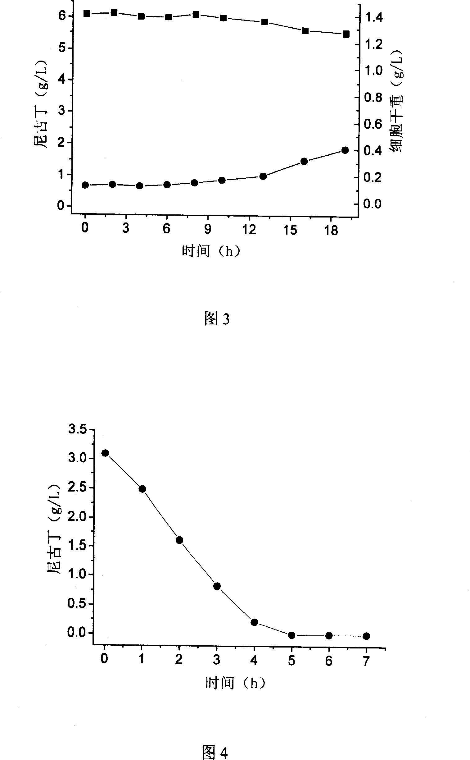 Pseudomonas putida capable of metabolizing nicotine and application thereof