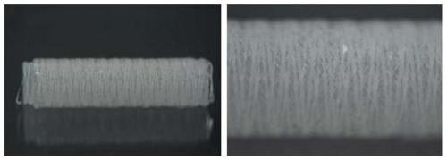 3D printing device and method of multi-scale fiber-reinforced micro-channel active tubular tissue