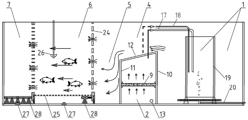 Research device for toxicological effects of pollutants on fish