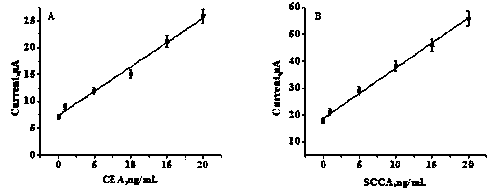 Sandwich type electrochemical immunosensor for simultaneously detecting markers of cervical cancer