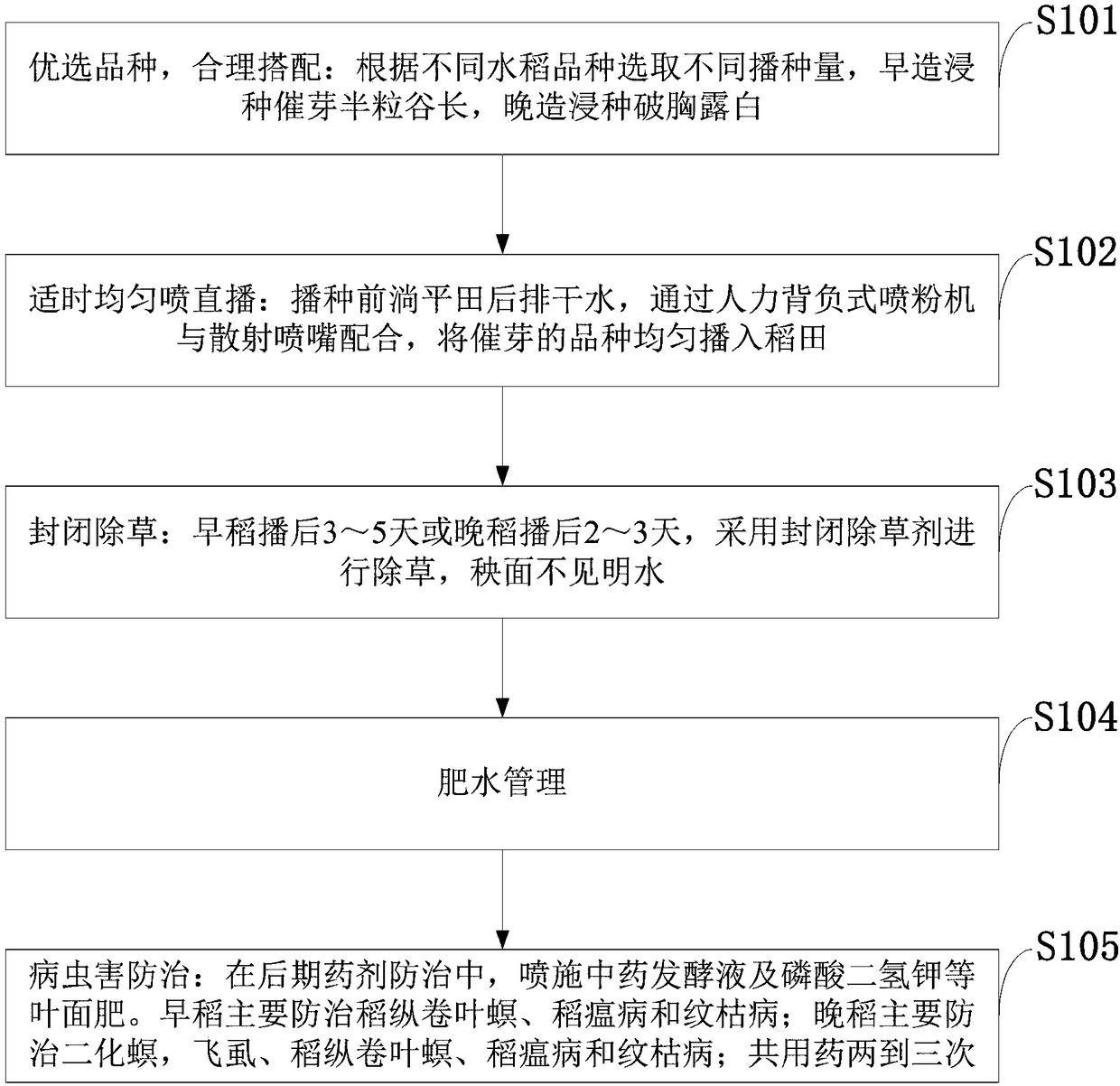 Rice double-season double-spraying direct seeding cultivation method