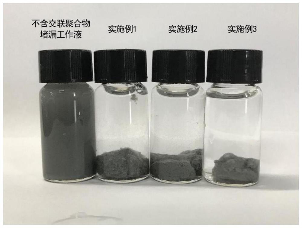 Delay gelatinizing composite plugging liquid and preparation method thereof