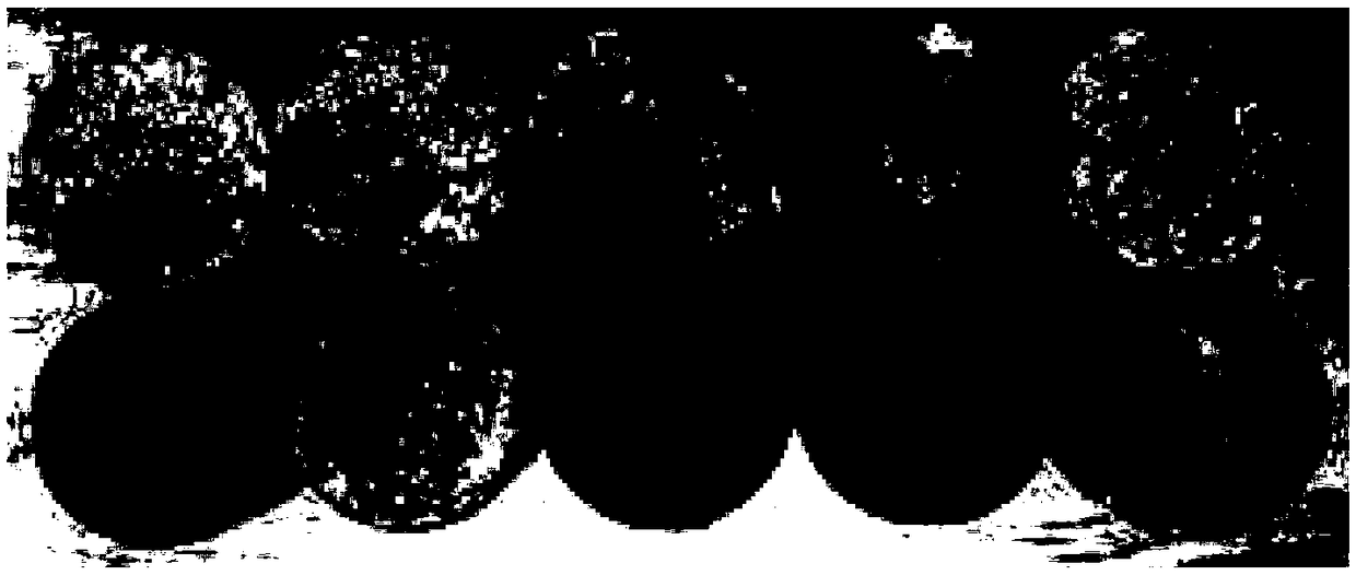 Test method used for detecting concrete product efflorescence degree