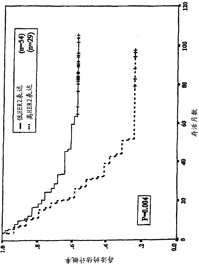 Method of determining epidermal growth factor receptor and HER2-neu gene expression and correlation of levels thereof with survival rates