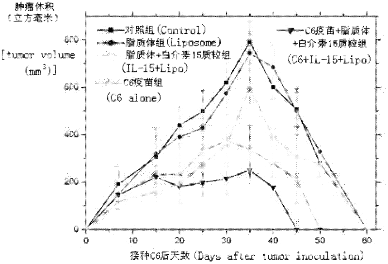 Drug and tumor whole-cell vaccine for treating or preventing tumor, and preparation methods and applications of drug and whole-cell vaccine