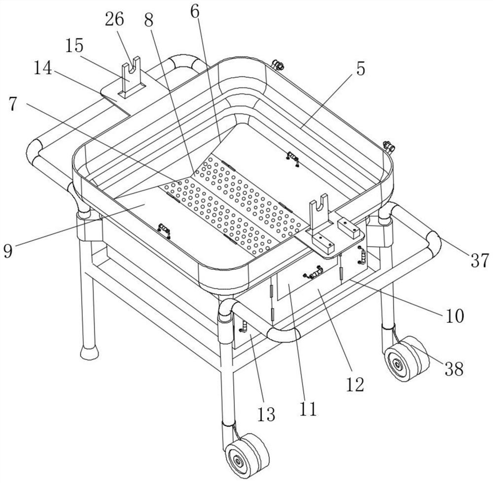 Torreya torreya circulation drying device and drying method thereof