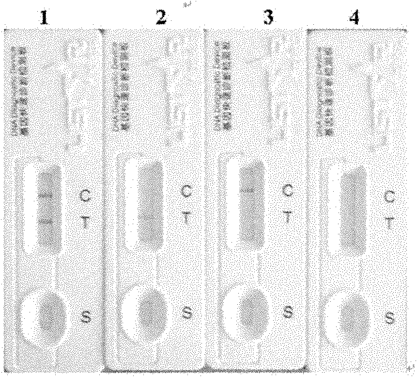 Internal reference detection system and kit for isothermal nucleic acid amplification reaction