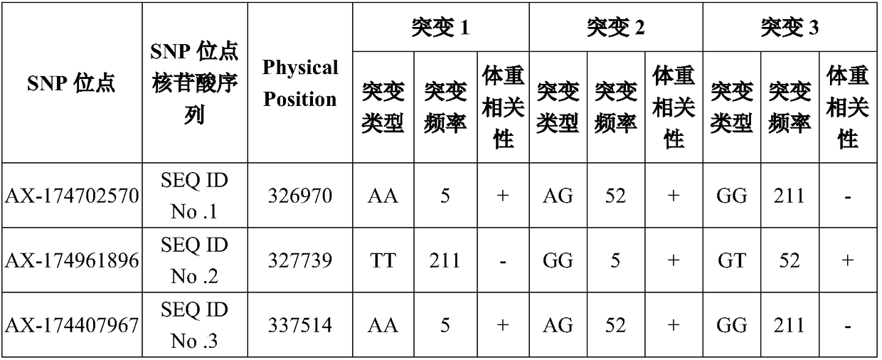 Application of SNP (Single Nucleotide Polymorphism) sites of yak whole genome, primer set for detecting and kit