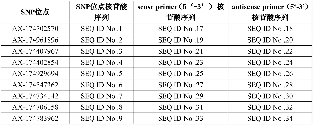 Application of SNP (Single Nucleotide Polymorphism) sites of yak whole genome, primer set for detecting and kit