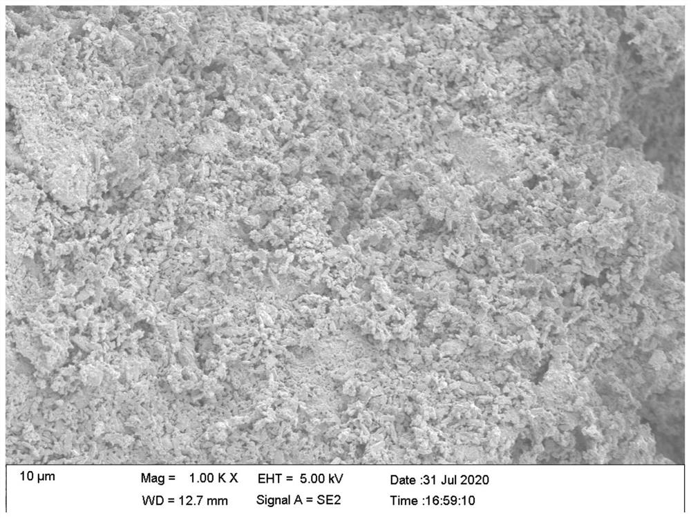 Lead paste for battery positive plate and preparation method of lead paste and positive plate