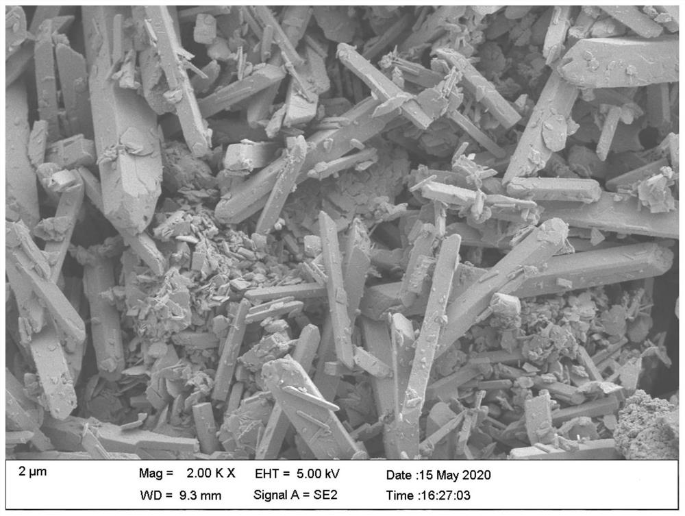 Lead paste for battery positive plate and preparation method of lead paste and positive plate