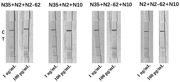 Multi-nucleic acid aptamers for detecting pathogenic microorganisms and combinations thereof