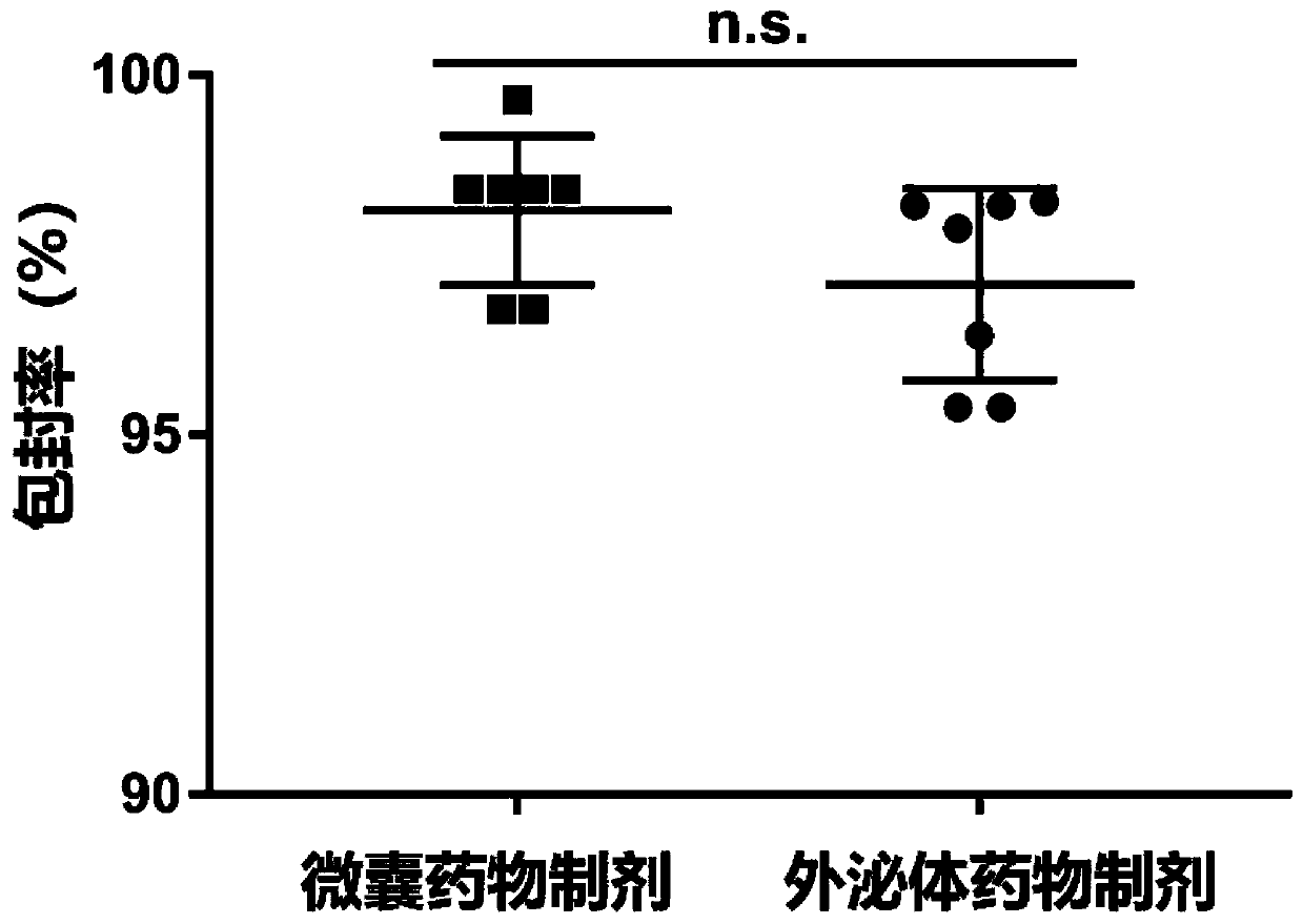 Cell microcapsule and preparation method thereof, cell microcapsule loaded with cancer resisting medicines, and preparation method and application of cell microcapsule loaded with cancer resisting medicines