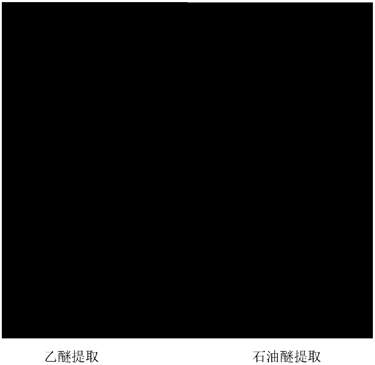 Artemisia argyi charcoal and preparation method and detection method thereof