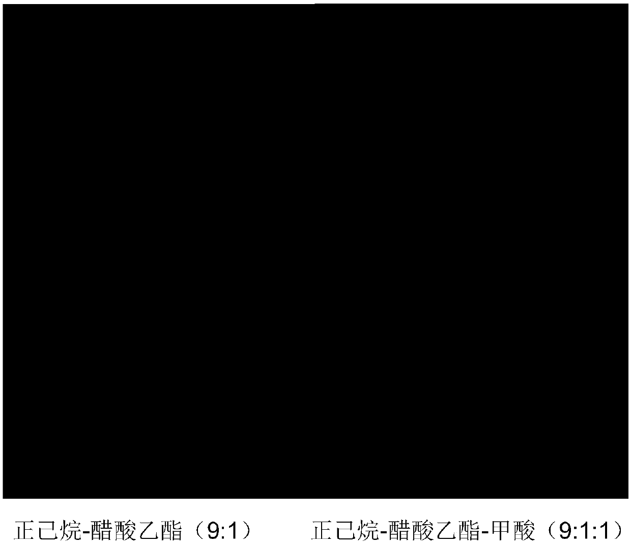 Artemisia argyi charcoal and preparation method and detection method thereof