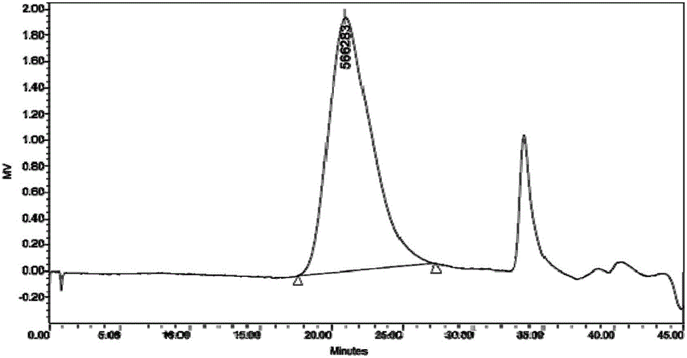 Composite seaweed polysaccharide oral liquid for reducing blood lipid and preparation method of composite seaweed polysaccharide oral liquid