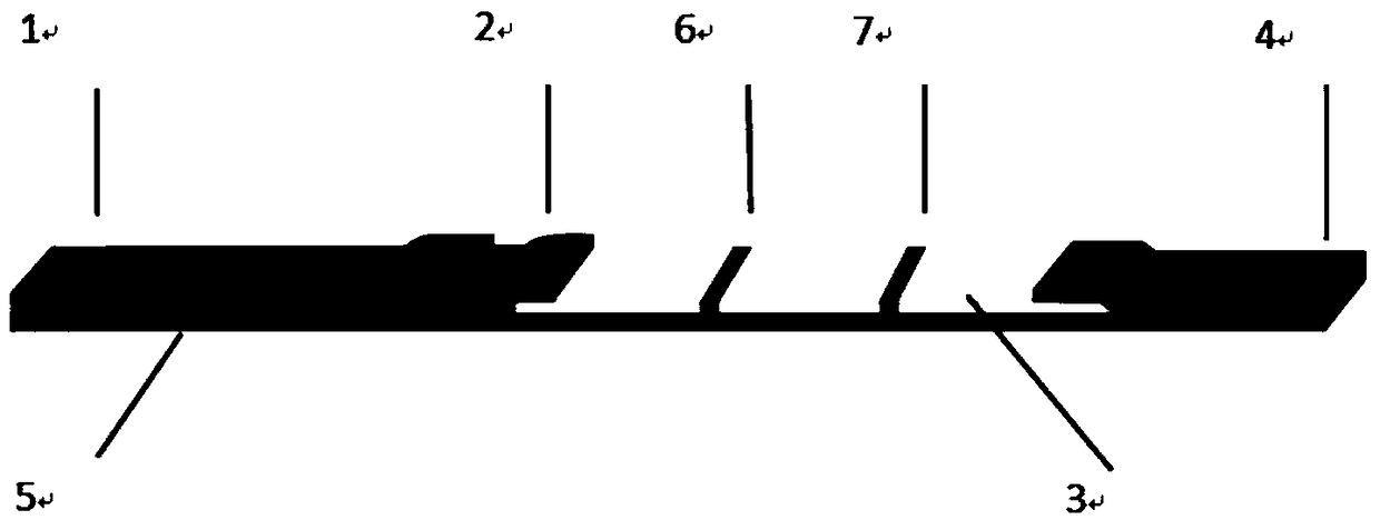 Detection device and method for judging early pregnancy time and early pregnancy abnormity