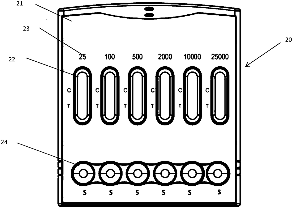 Detection device and method for judging early pregnancy time and early pregnancy abnormity