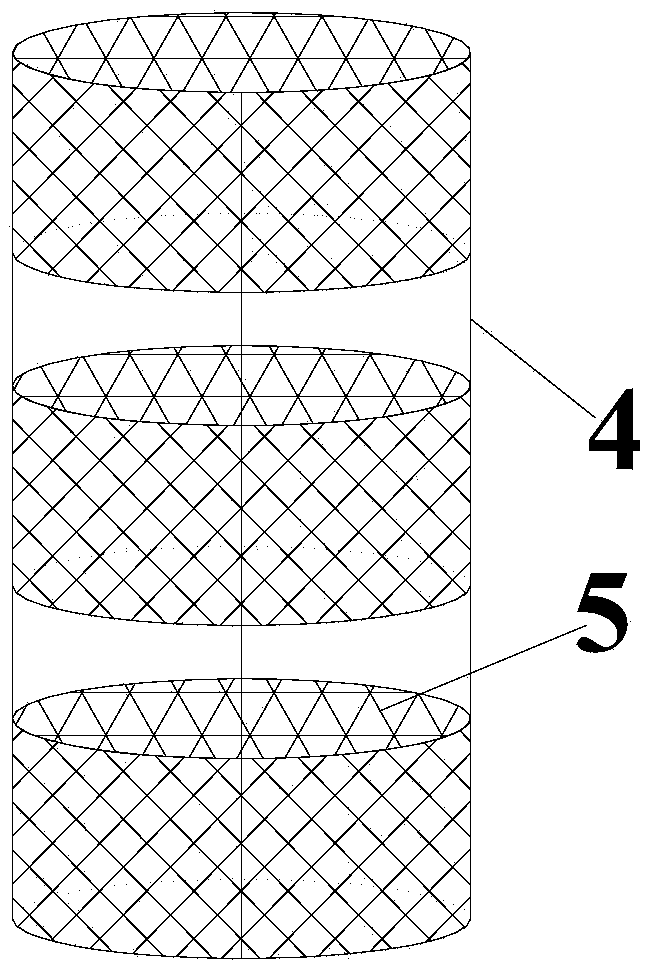 Method for producing D-lactic acid through repeated batch fermentation by utilizing surface immobilization technology