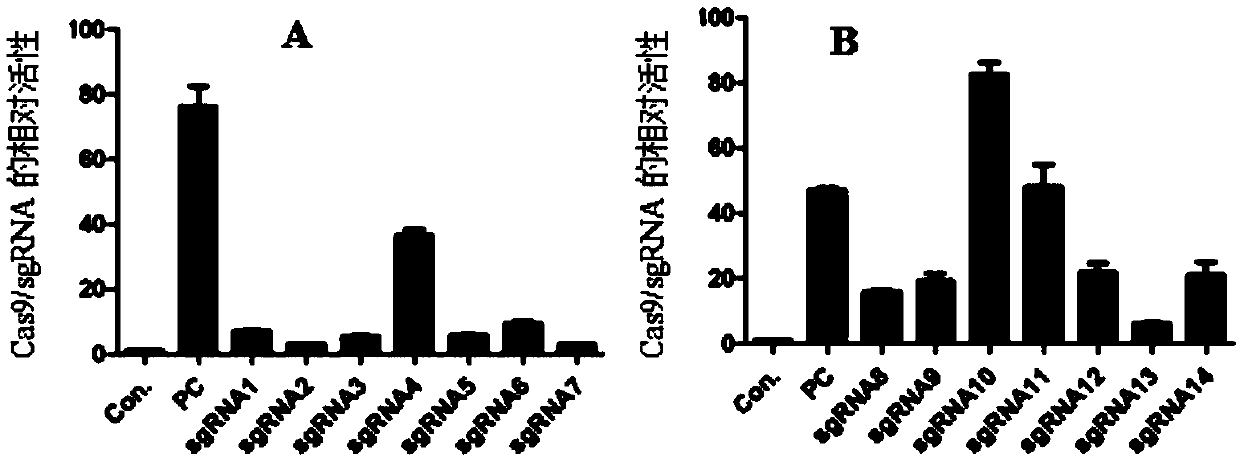 Preparation method and application of non-human animals or offspring thereof genetically modified by Hr gene