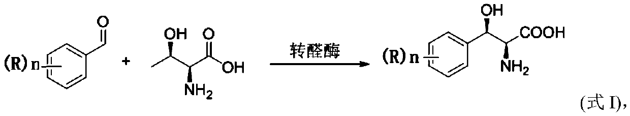 Method for preparing 3-phenyl-L-serine or derivative thereof and ethyl ester of 3-phenyl-L-serine