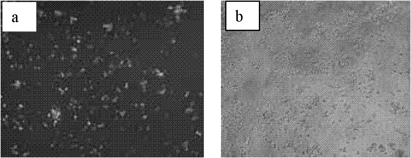 HIV latency-resistant effective part of euphorbia and use thereof