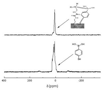 Biomimetic monolithic material with affine selectivity similar to that of protein A and preparation method and application thereof