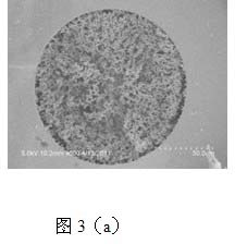 Biomimetic monolithic material with affine selectivity similar to that of protein A and preparation method and application thereof