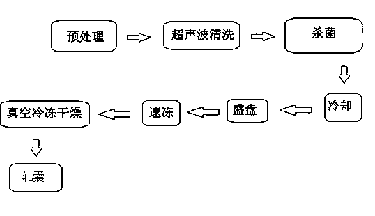 Preparation method for freeze-dried bamboo weevil health care products