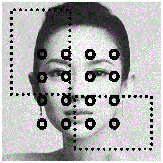 Image feature extraction method, device, terminal equipment and system