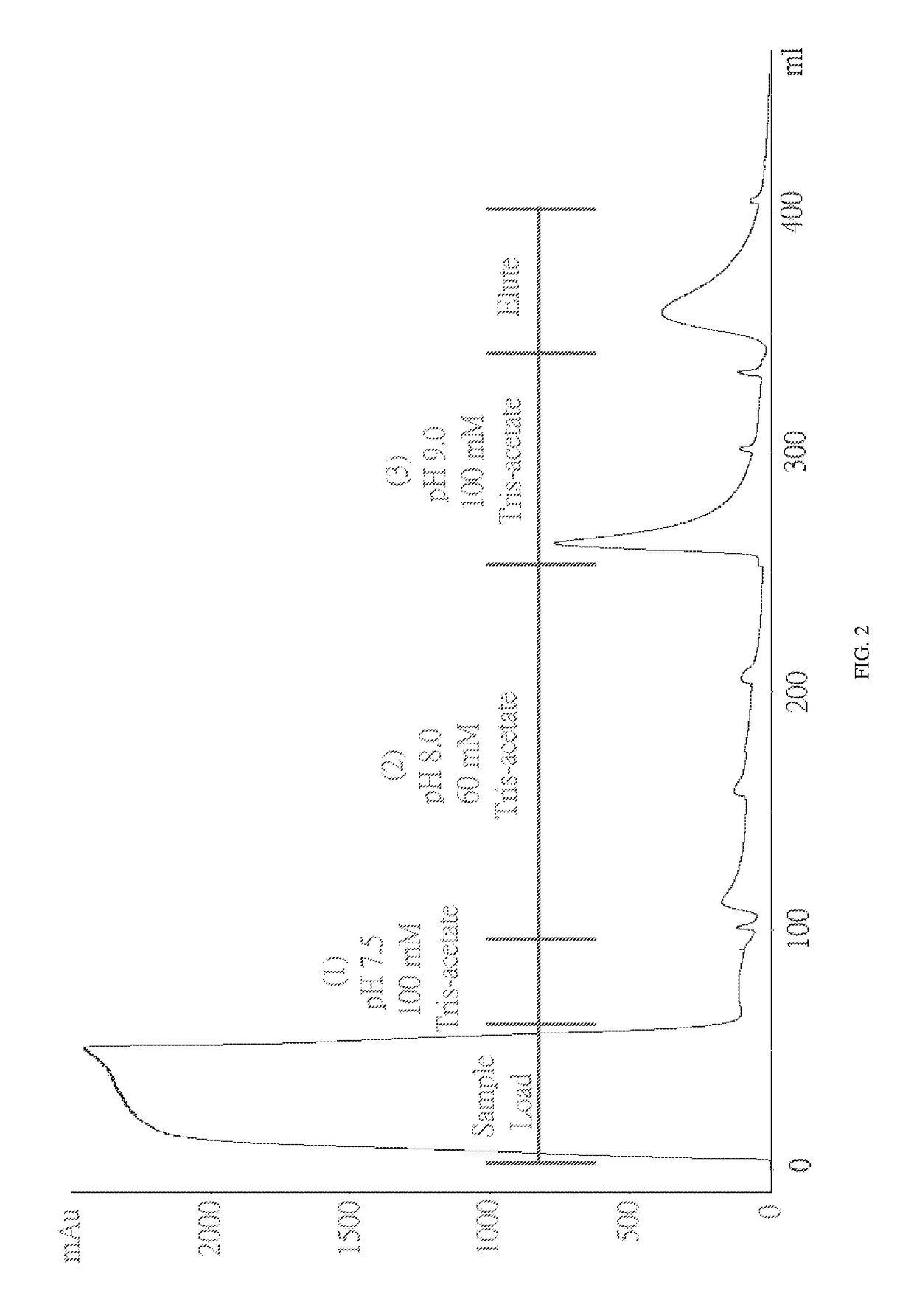 Production of high purity chondroitinase ABC