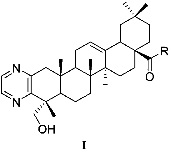 Hederagenin A-cyclopyrazine derivatives as well as preparation method and application thereof