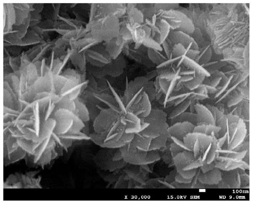 A kind of regenerated cellulose pellet containing flaky nano ZNO and its preparation method