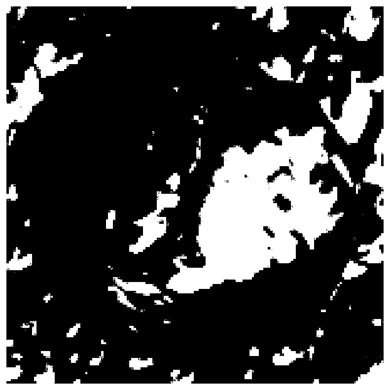 Electrolytic machining method of passivated metal surface porous microstructure