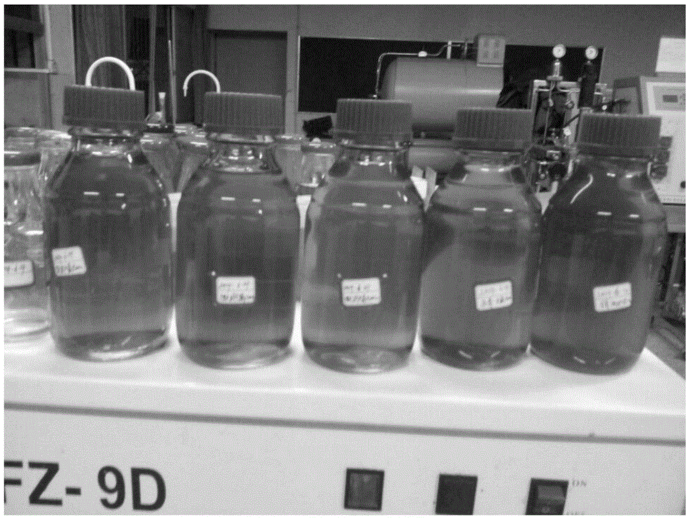 Dendrobium nobile juice beverage for intestine and stomach health care and beauty maintaining and industrialized production method thereof