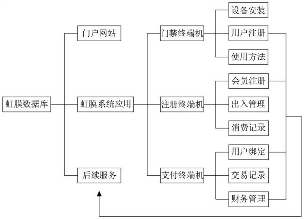 Method for establishing big data iris database and applying iris system