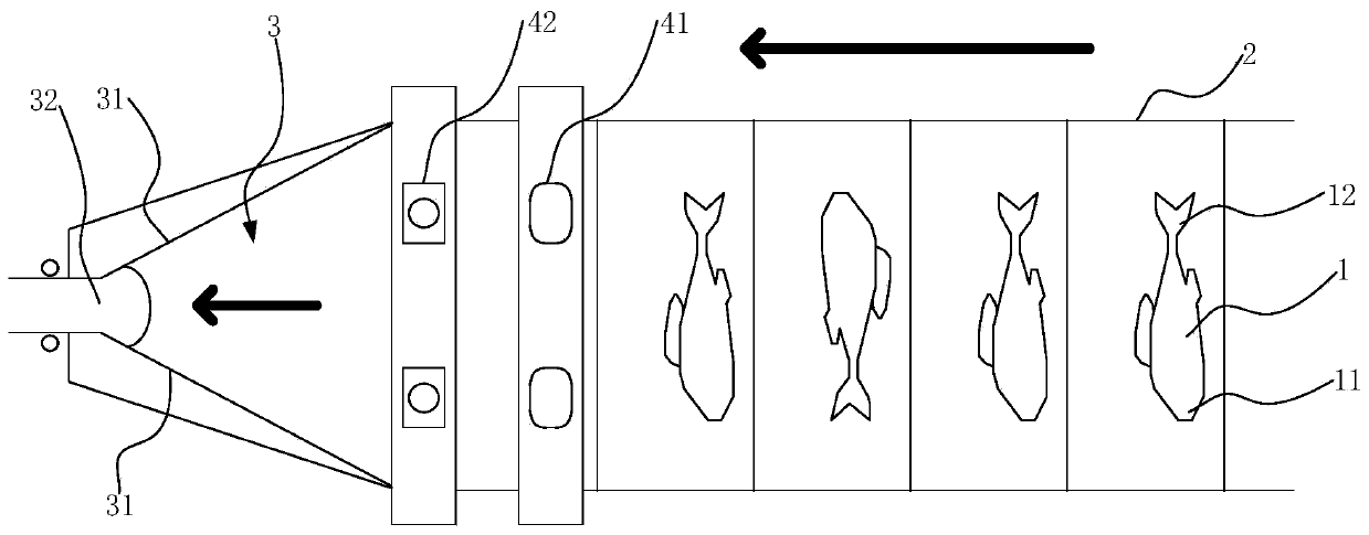 Fish head, tail, belly and back directional conveying device