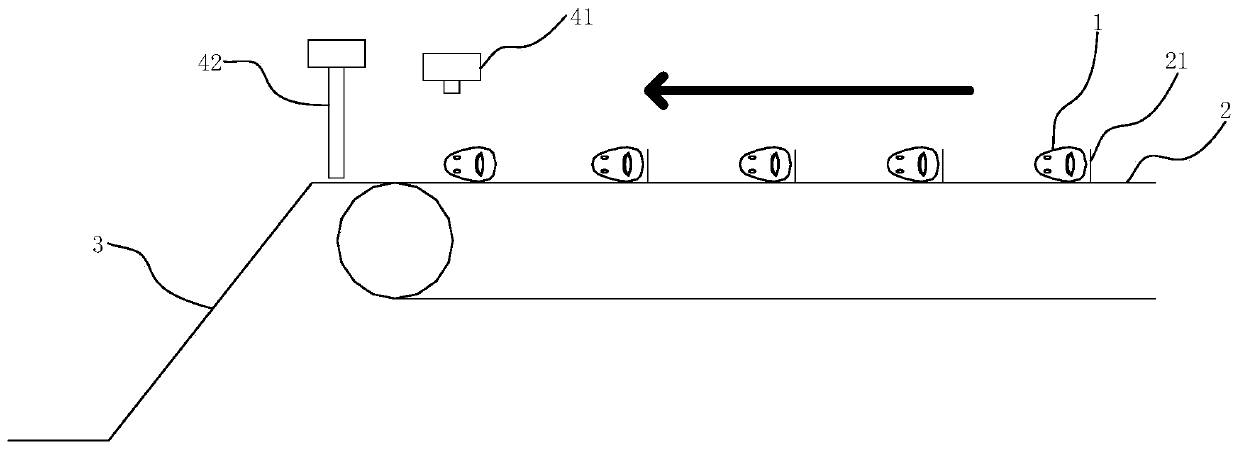 Fish head, tail, belly and back directional conveying device