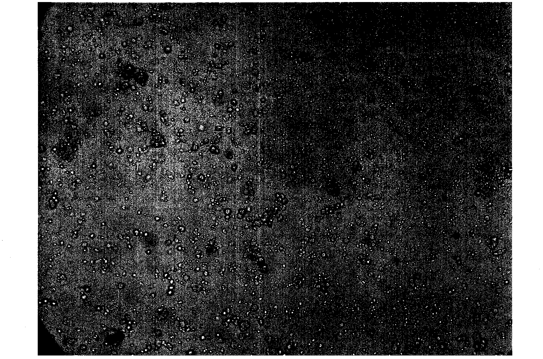 Method for isolating and culturing human primary hepatocytes