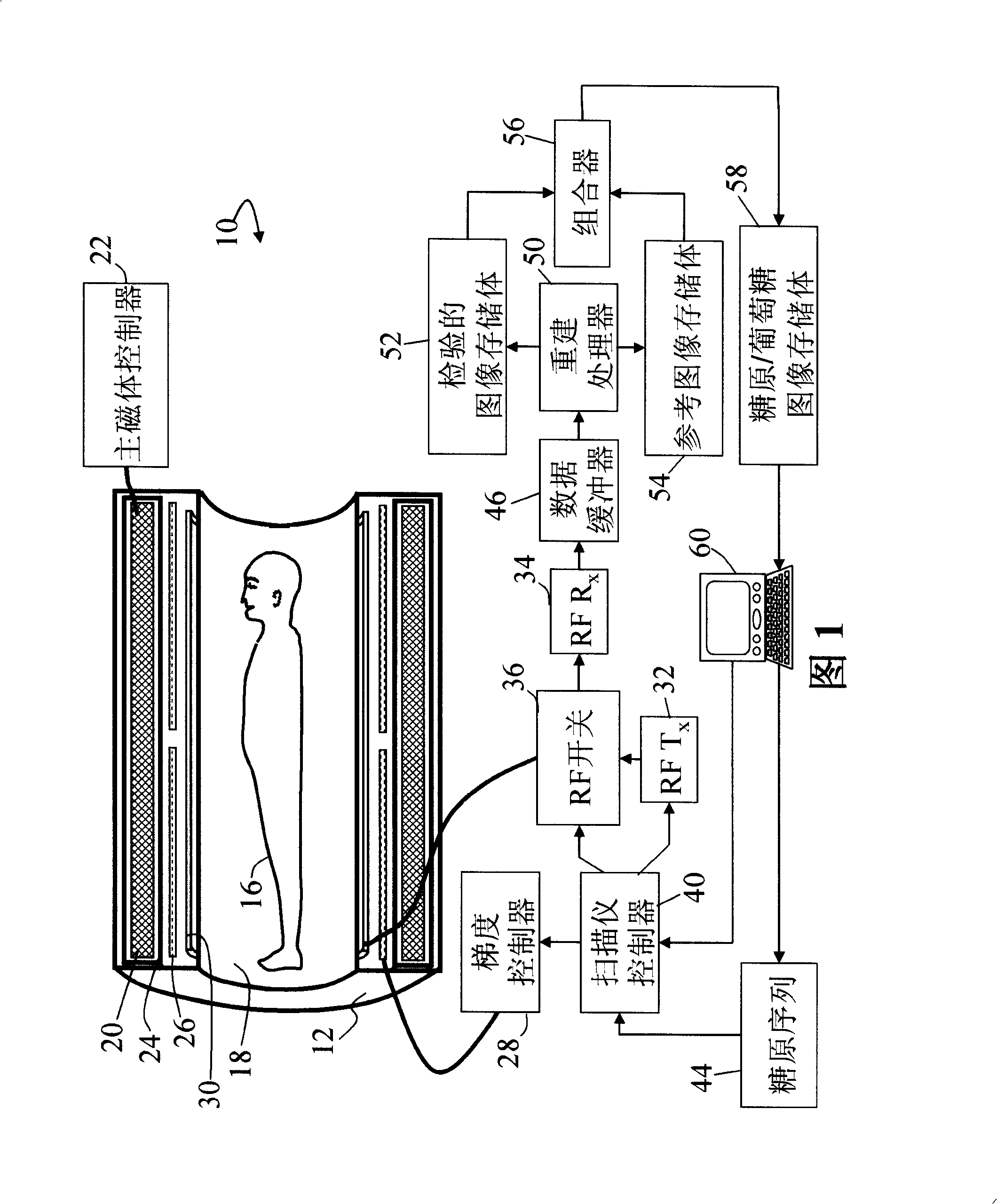 Non-invasive MRI measurement of tissue glycogen