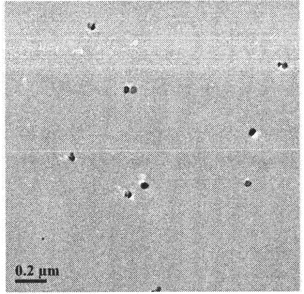 Preparation method for photosensitive and amphiphilic polyurethane-stabilized nano-zinc oxide